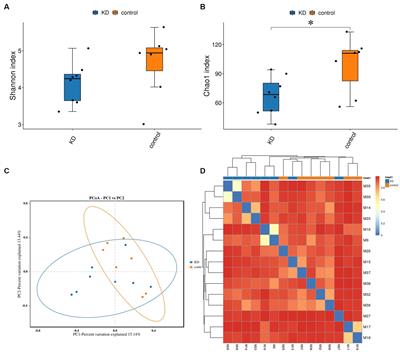 Effects of ketogenic diet on the classification and functional composition of intestinal flora in children with mitochondrial epilepsy